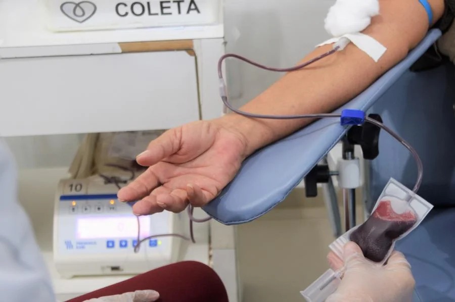 Hemoal faz coleta de sangue em São Miguel dos Campos nesta terça-feira, 24